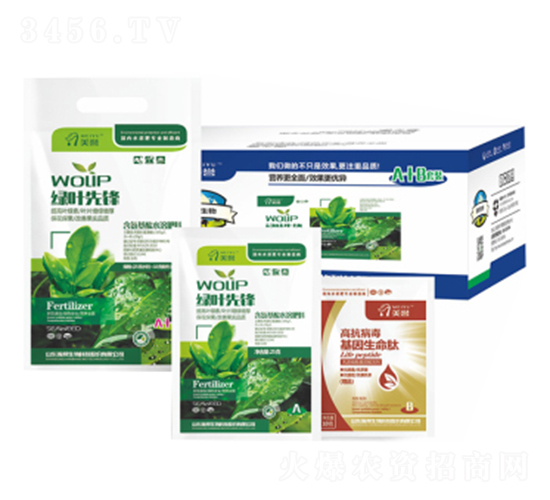 �G�~���h-嫰�����