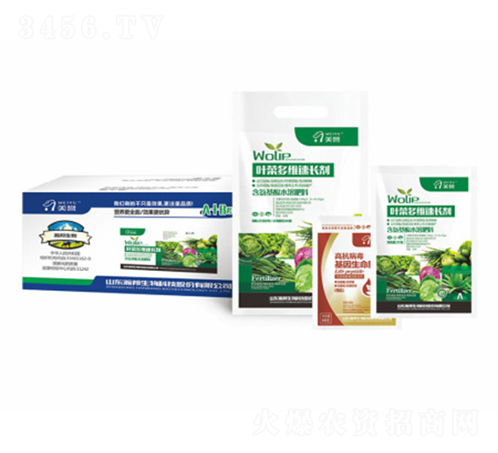 �~�˶�S���L��-嫰�����