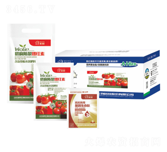 Ě���������t��-嫰�����