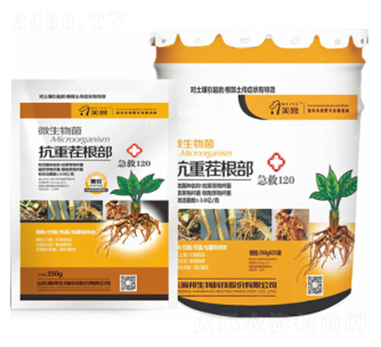 ���ز����-嫰�����