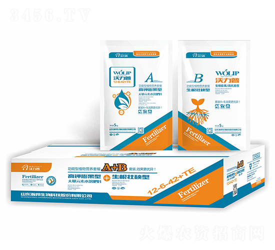 ������ֲ��I(y��ng)�B(y��ng)�ײ�-嫰�����