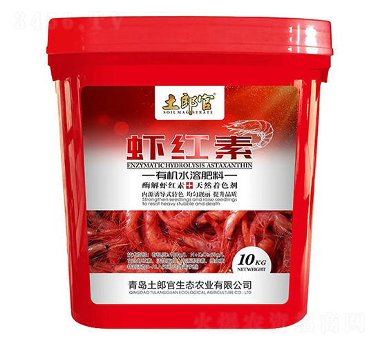 �r�t��-���ɹ�