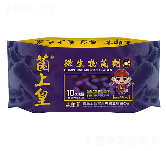 ���ϻ�΢�������-���ɹ�