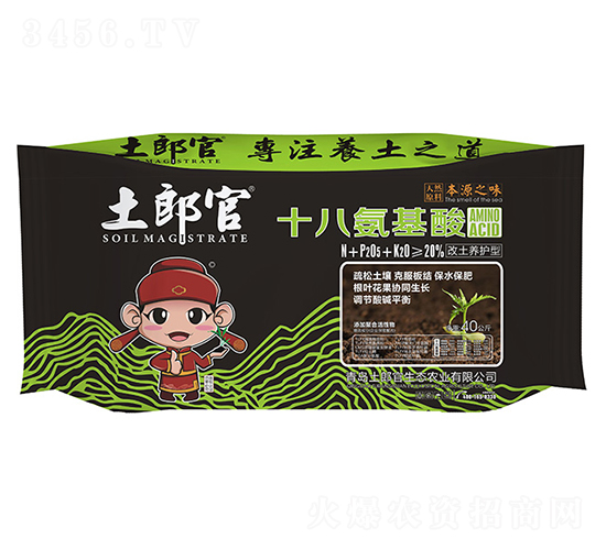 ʮ�˰����ᣨ�����B(y��ng)�o�ͣ�-���ɹ�