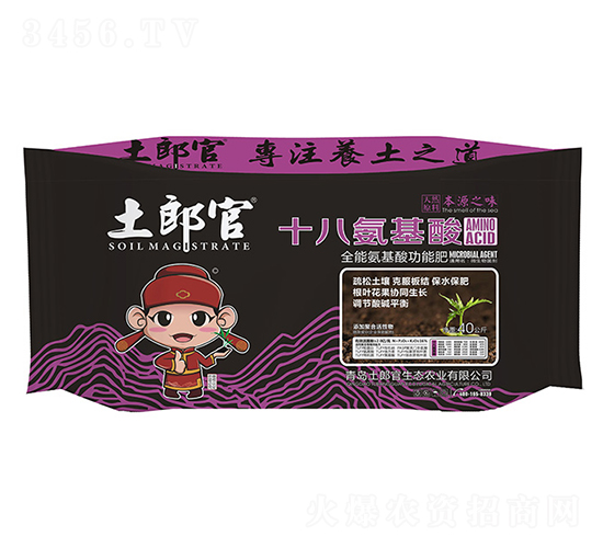 ʮ�˰����ᣨȫ�ܰ����Ṧ�ܷʣ�-���ɹ�