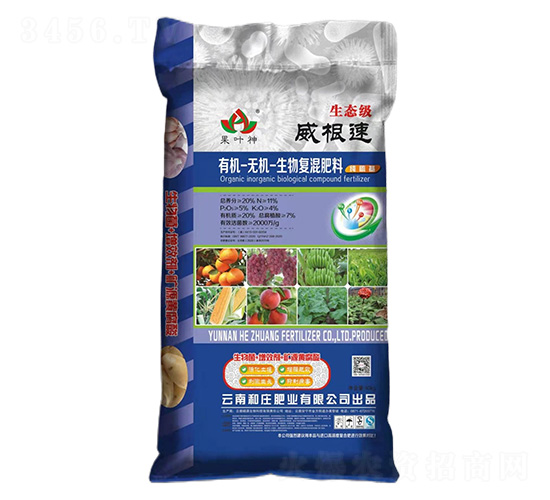 �ЙC(j��)-�o�C(j��)�����(f��)�����11-5-4-������-���f�ʘI(y��)