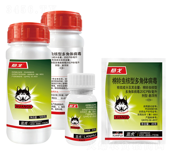 20�|PIB����x���Ͷ���w�����Ҹ���-�Ҹ�-�{��-�¹چ̵�