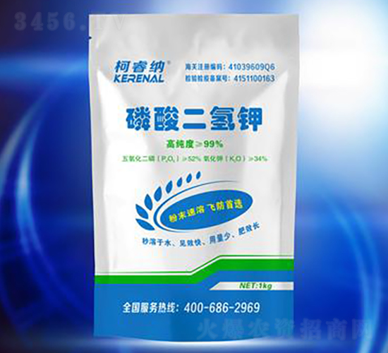 ��������1KG-��{