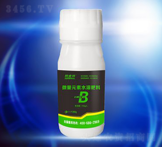 �����-��{