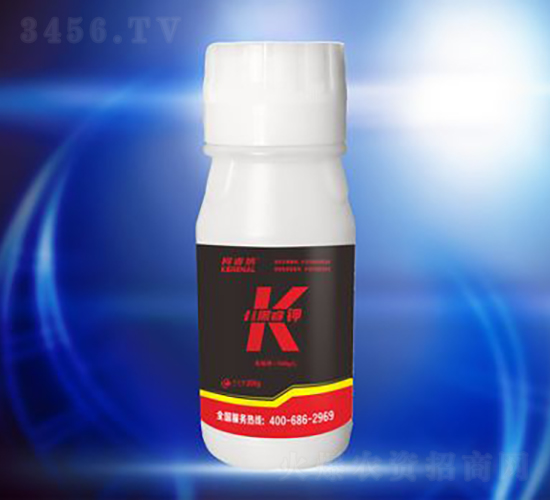 ����-��{