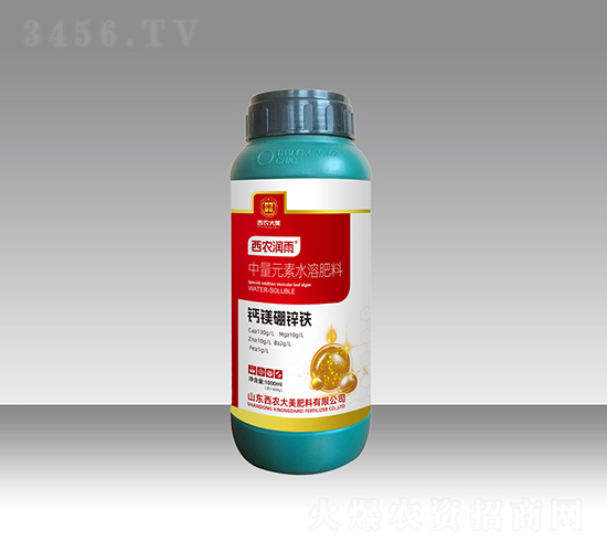 �}�V���\�F-���r(n��ng)��(r��n)��-���r(n��ng)����