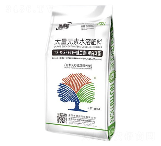 ����Ԫ��ˮ�ܷ���12-8-36+TE+�S����+��������-��?sh��)°? style=