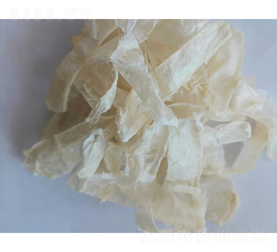 ����˹��ѩз������-�ɝ�����