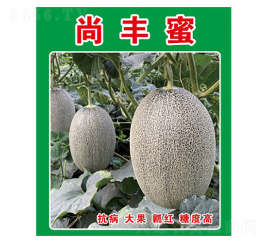 ���ܹϷN��-���S��-���S�r(n��ng)�I(y��)