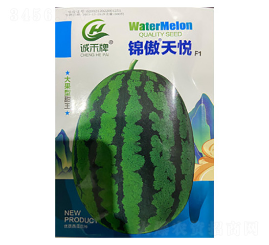 ���ϷN��-�\���쐂-���S�r�I(y��)