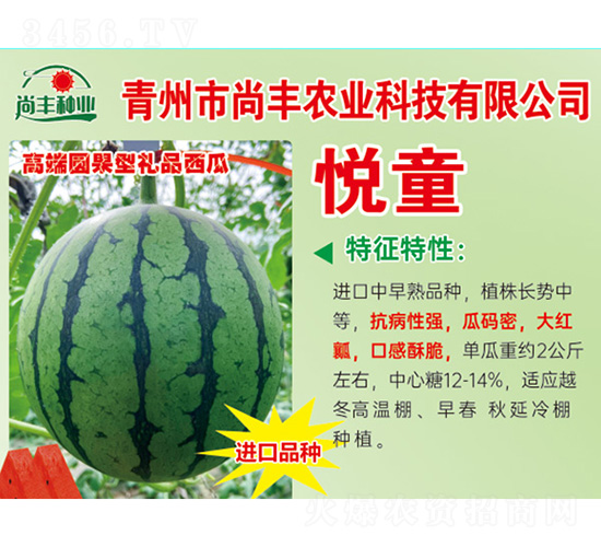 ���ϷN��-��ͯ-���S�r(n��ng)�I(y��)