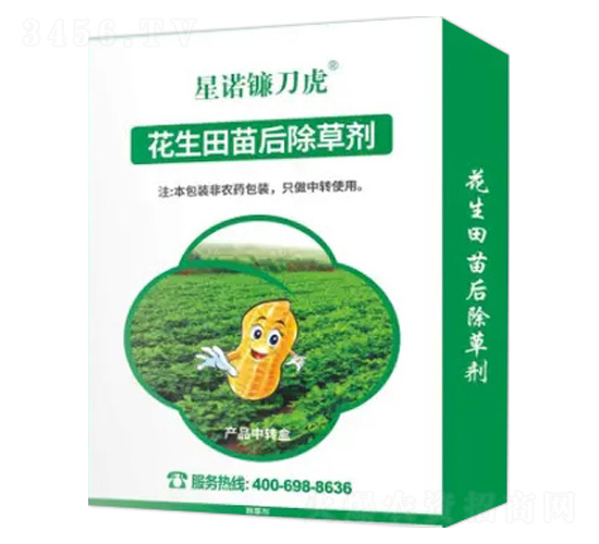 �����������݄�-���Z砵���-�Z�����r(n��ng)�I(y��)