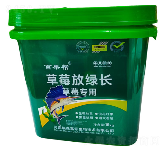 ��ݮ���ò�ݮ�žG�L-��ɭ�κ�