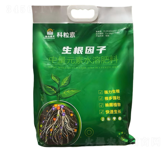 ����Ԫ��ˮ�ܷ���-��������-��ɭ�κ�