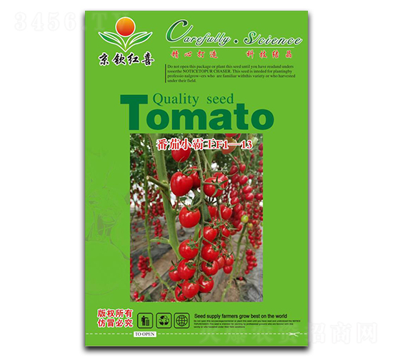 ����С����F1-13-���ѷN��-���J�tϲ