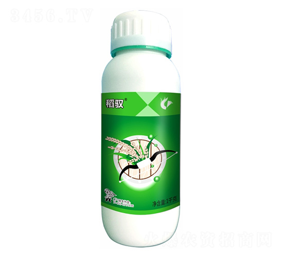 30%�f��ݡ������������-���S-����¡����