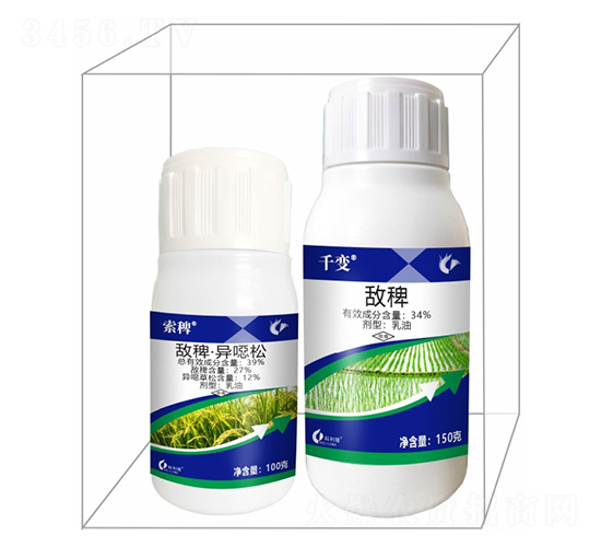 ���޽M���a(b��)���-����¡����