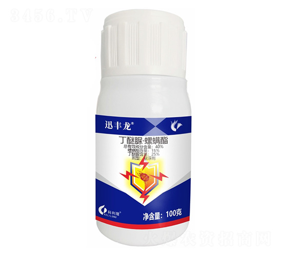 40%�����塤������-Ѹ�S��-����¡����