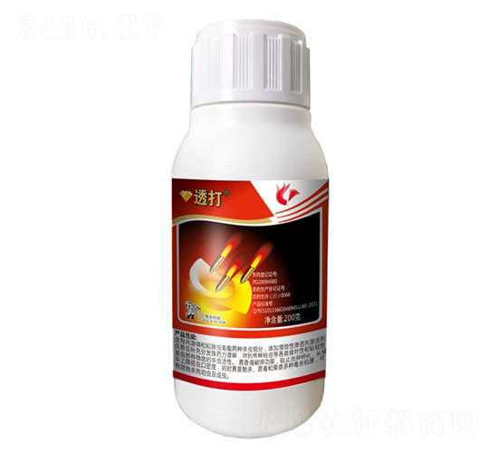 440��ÿ�����衤������-͸��-����¡����