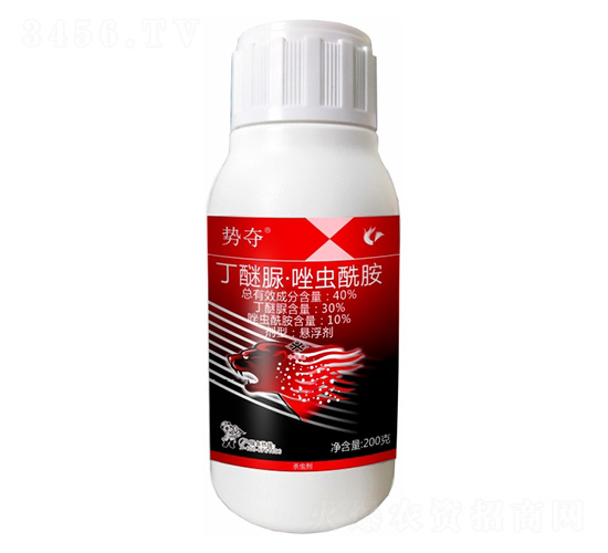 40%�����塤���x����-�݊Z-����¡����