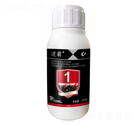 50��ÿ�����������-����-����¡����