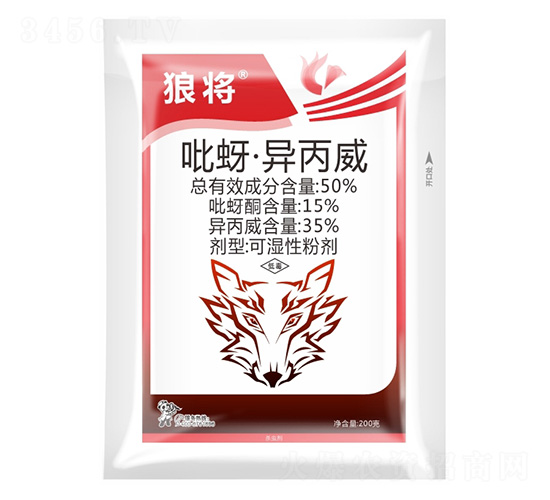 50%������������-�ǌ�-����¡����