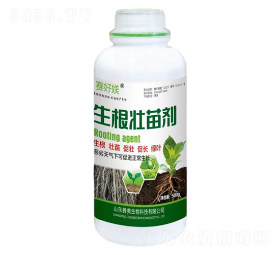 �������焩-�v������