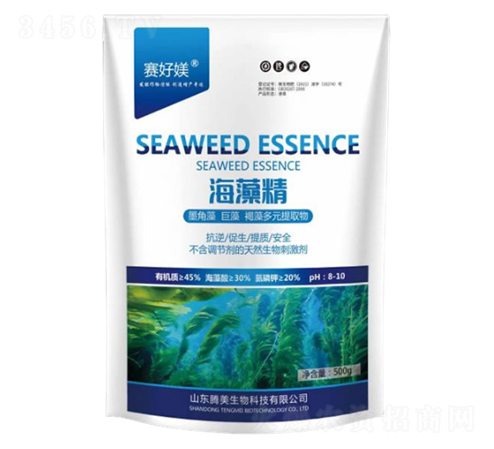 ���徫-�v������