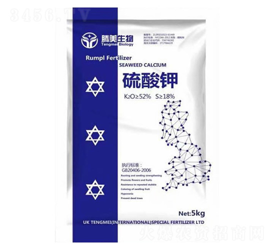 �����-�v������