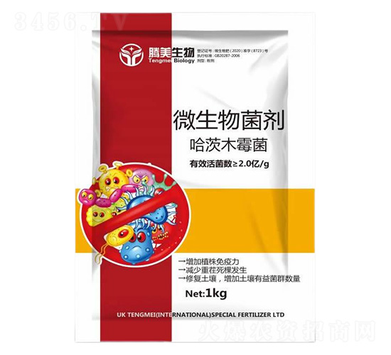 ΢�������-����ľù��-�v������