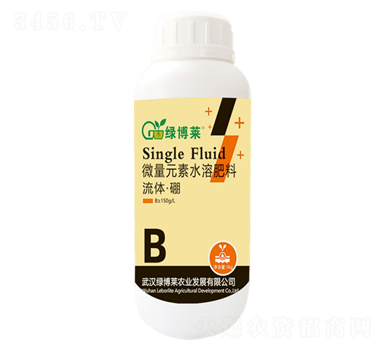 ���w����-�G���R