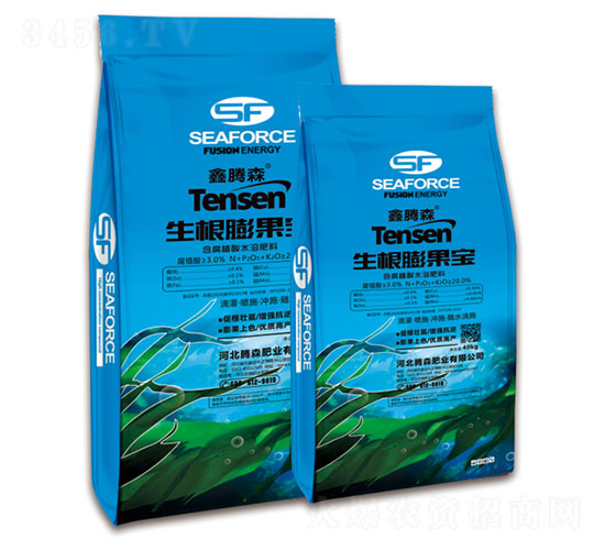 ���������-���vɭ-�vɭ�ʘI(y��)