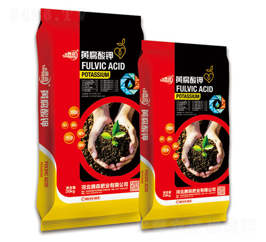 �S�����-���vɭ-�vɭ�ʘI(y��)