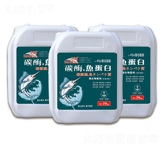 ̼ø�~����-������-�vɭ�ʘI(y��)