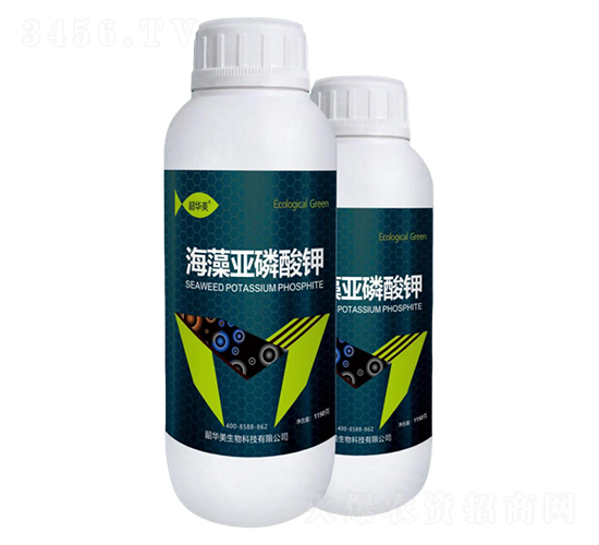 ���偆�����-���A��