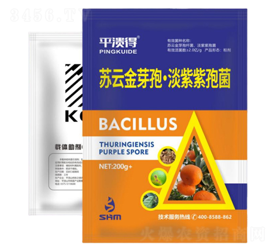 ���ٝ����ײ�2̖(h��o)-���A��