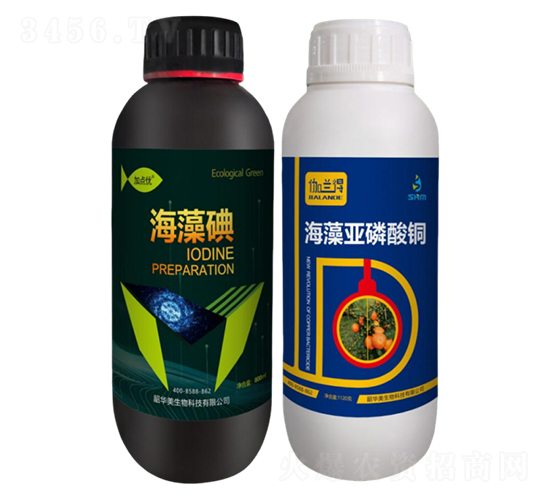 ���ٝ����ײ�1̖(h��o)-���A��