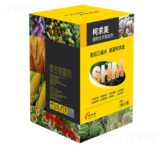 ֲ���������M(j��n)��-������-���A��