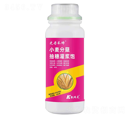 С�����Y������{�-ʷ���̎�-�P���