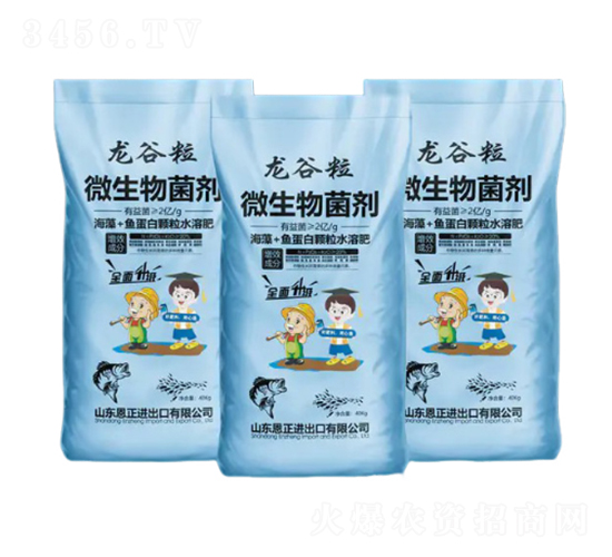 ΢�������-������-����