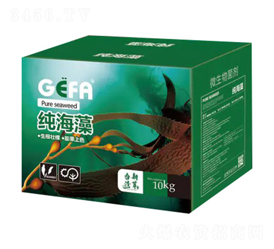 ������΢�������-����