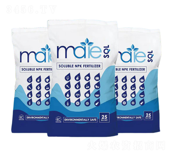 �ɉѴ���Ԫ��-����