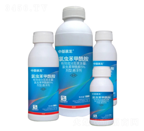 5%���x���������Ҹ�����SC��-�л�����-�л�����ƌW(xu��)