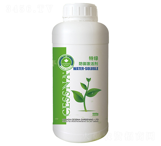 �������-�ؾG-�ЅR�r(n��ng)�I(y��)