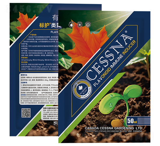 ��Sͪ�����T��(d��o)��-���o-�ЅR�r(n��ng)�I(y��)